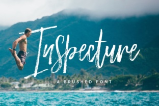 Bringing Raw Texture to Digital Design with Inspecture