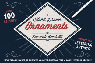 Evaluating Shape and Ornament Brushes for Procreate: A Practical Guide for Digital Designers