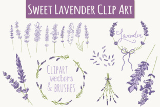 Lavender Set: Hand-Drawn Botanicals for Elegant Branding