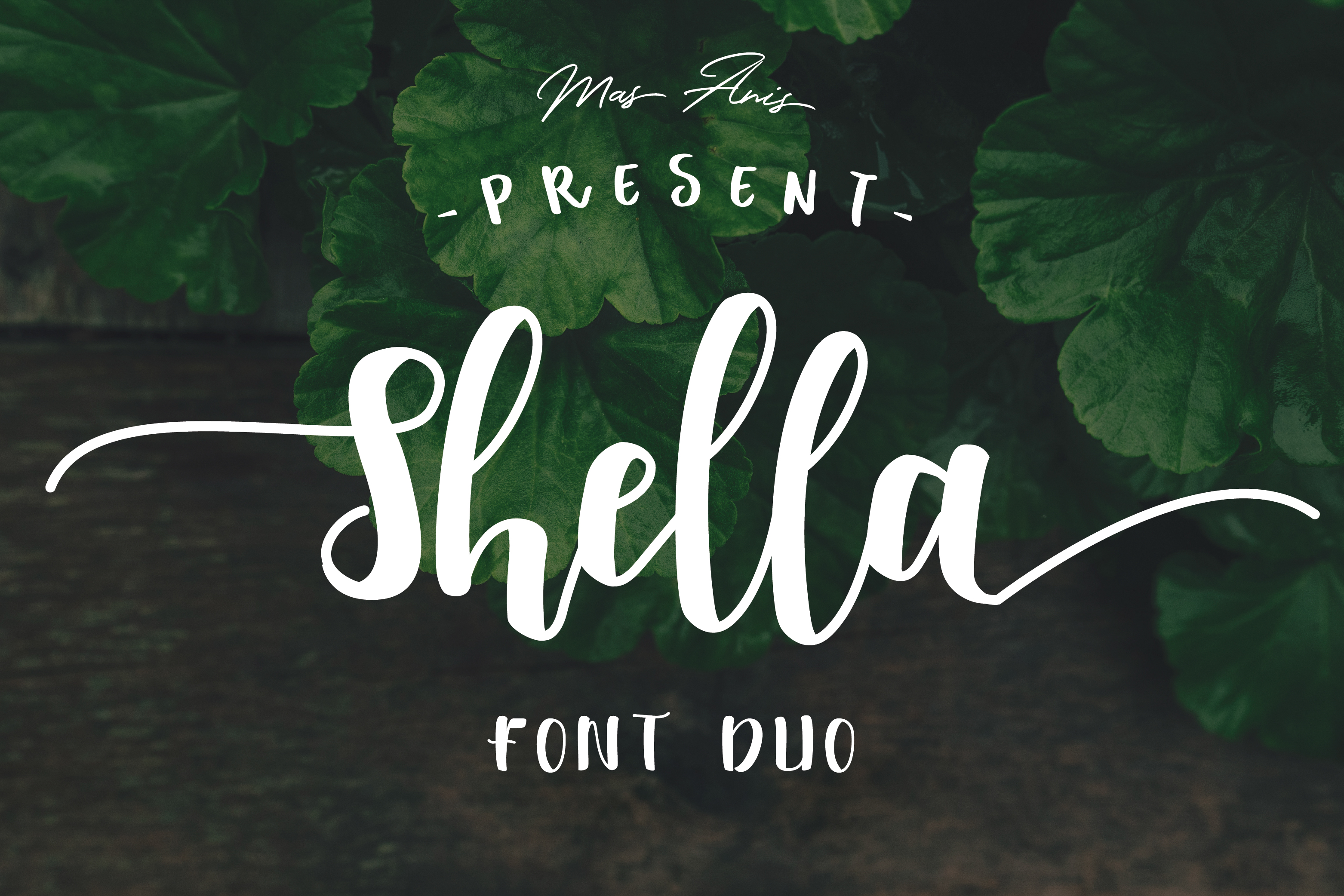 Shella Font Duo: A Versatile Hand-Brushed Type Family for Modern Design